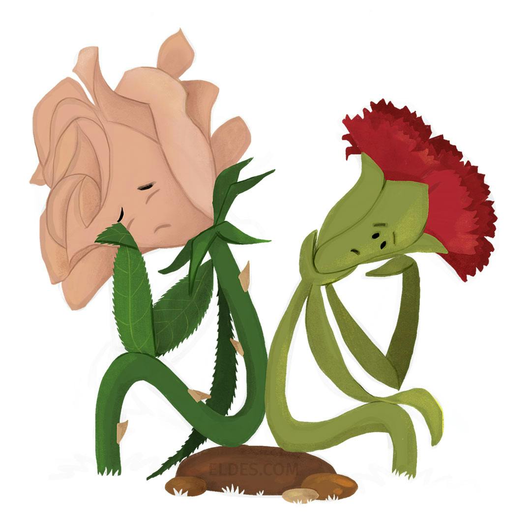 Illustration of O Cravo e a Rosa