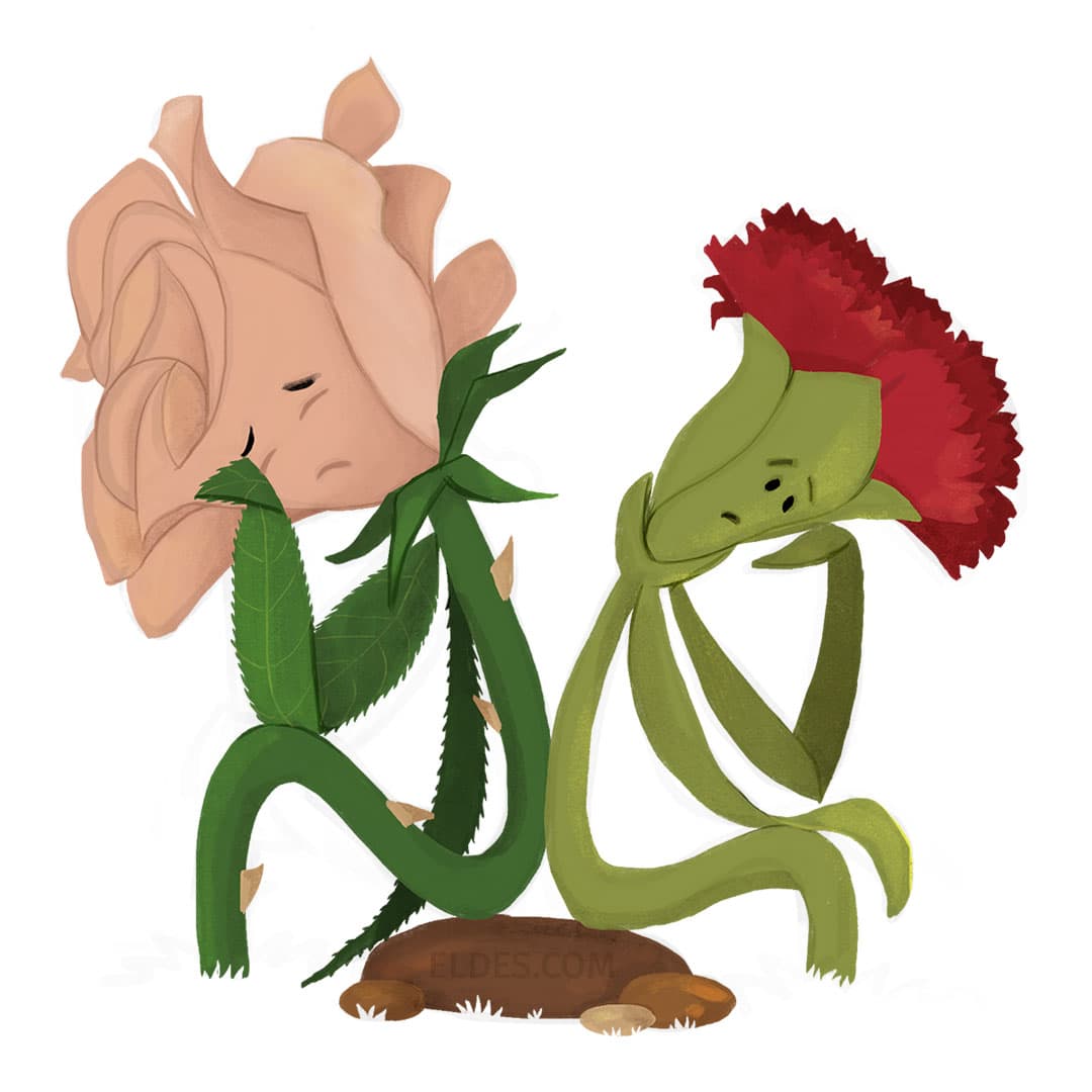 Ilustração de O Cravo e a Rosa