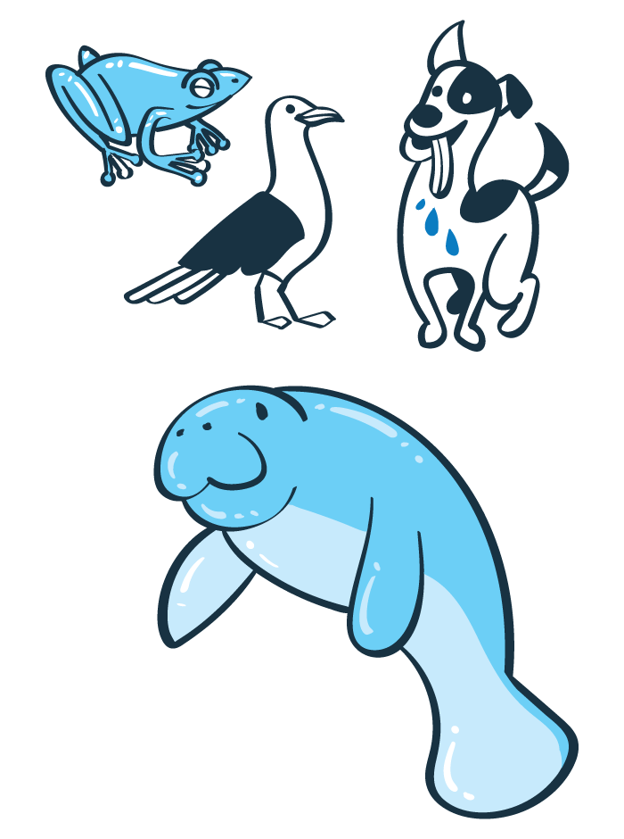 Ilustração do volume 1 - Rã, gaivota, cachorro e peixe-boi