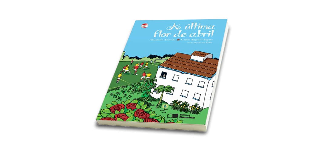 Mockup da capa do livro